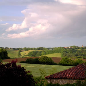 Lupiac paysage / landscape