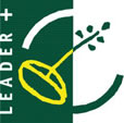 Programme Leader +